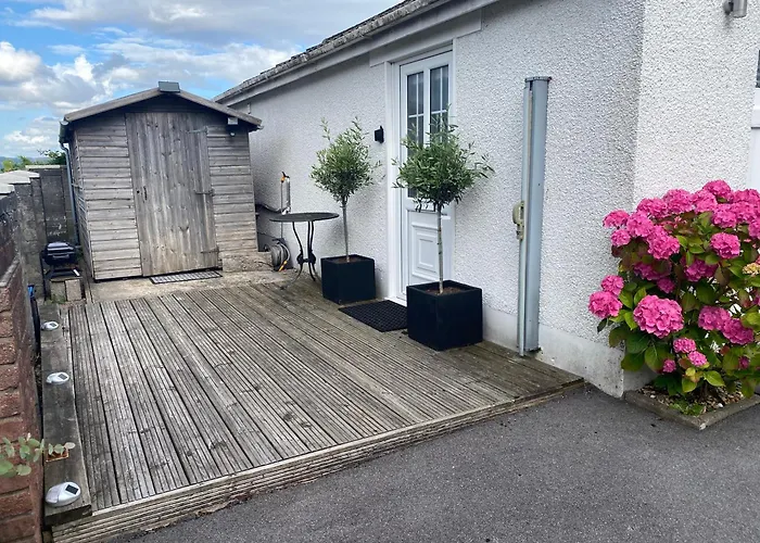 The Shed